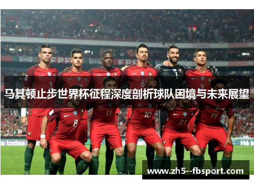 马其顿止步世界杯征程深度剖析球队困境与未来展望