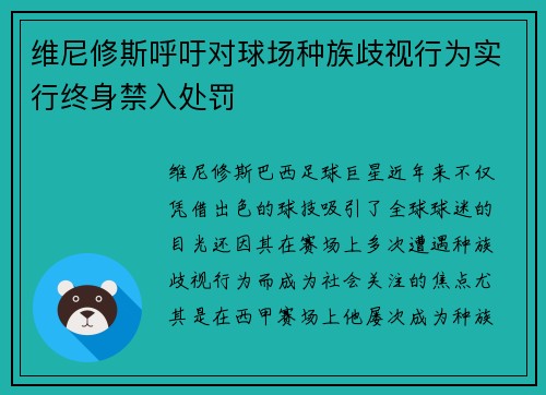 维尼修斯呼吁对球场种族歧视行为实行终身禁入处罚